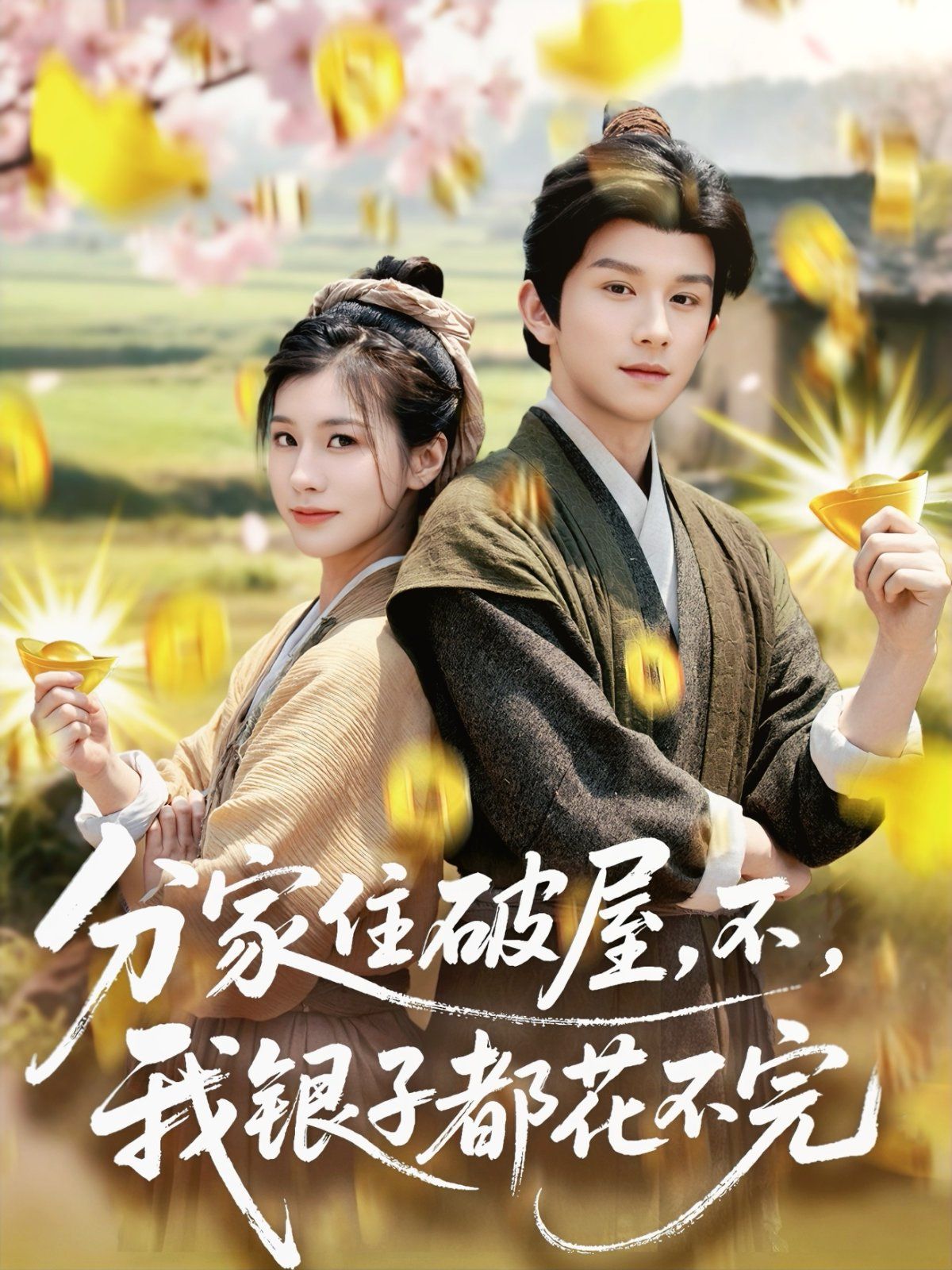 分家住破屋，不，我银子都花不完