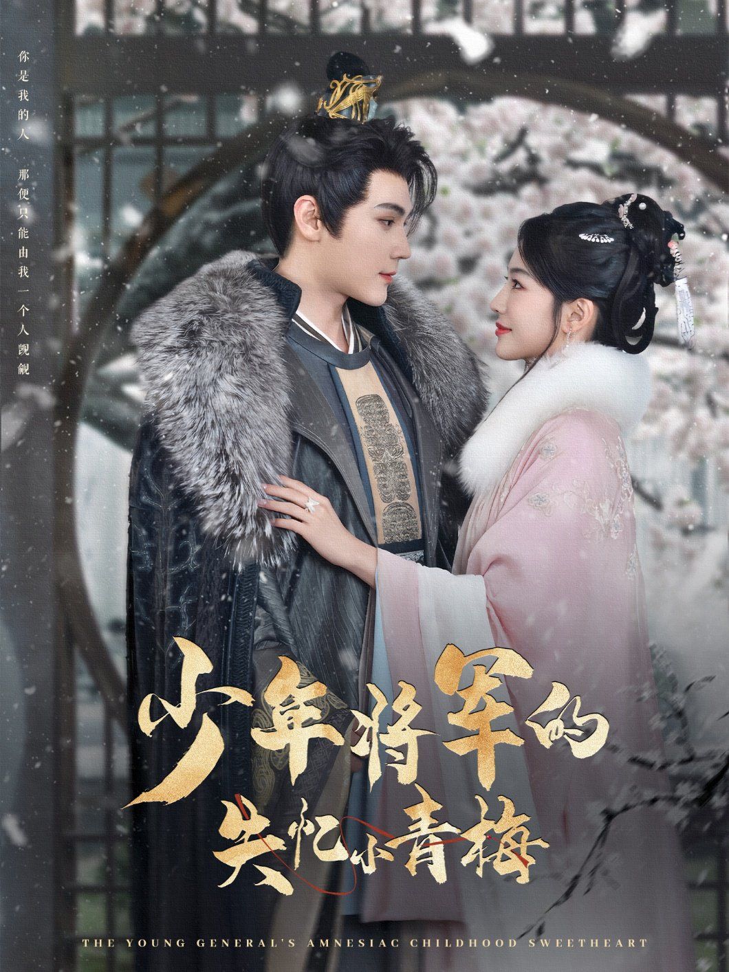 少年将军的失忆小青梅