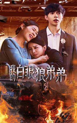 我的白眼狼弟弟