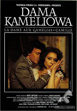 茶花女1995[电影解说]