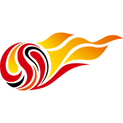 中超 天津津门虎vs山东泰山202506014