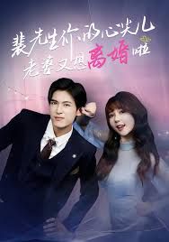 裴先生你的心尖儿老婆又想离婚啦，裴先生的复婚攻略