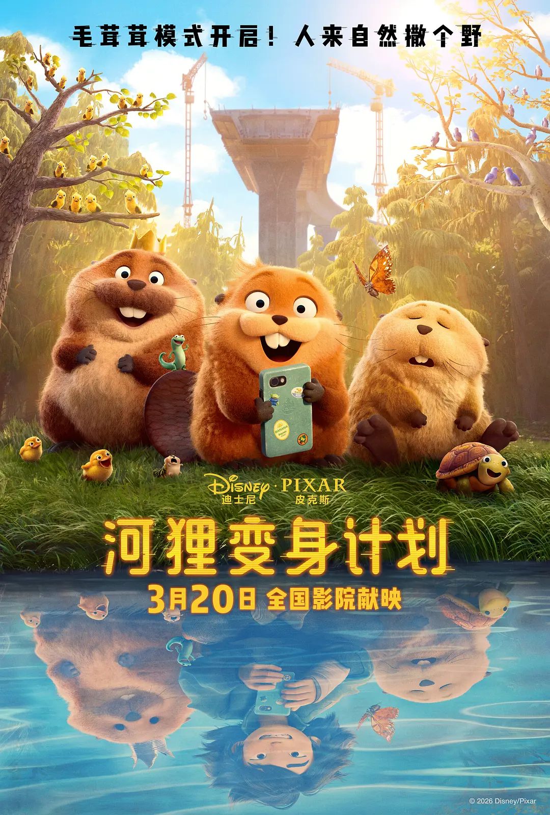 河狸变身计划（版）