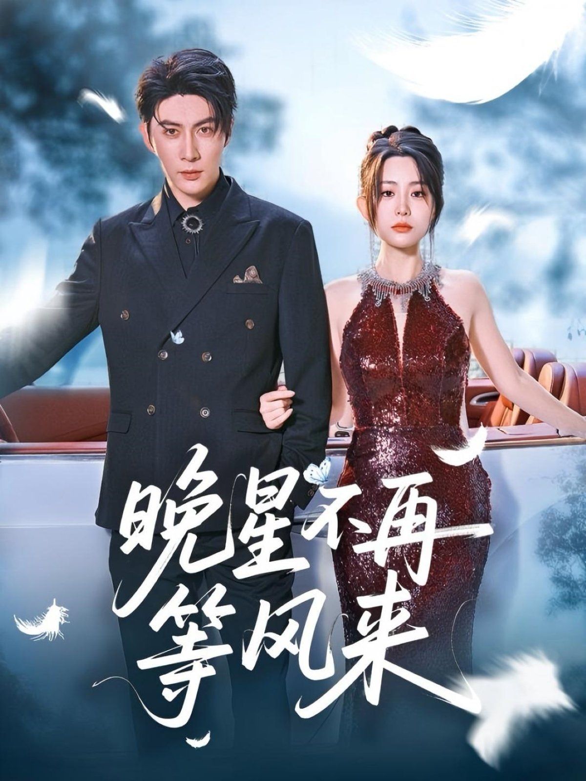 晚星不再等风来