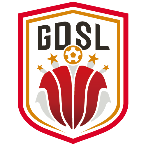 广东省足球超级联赛 顺德东方vs恒大足校20250831