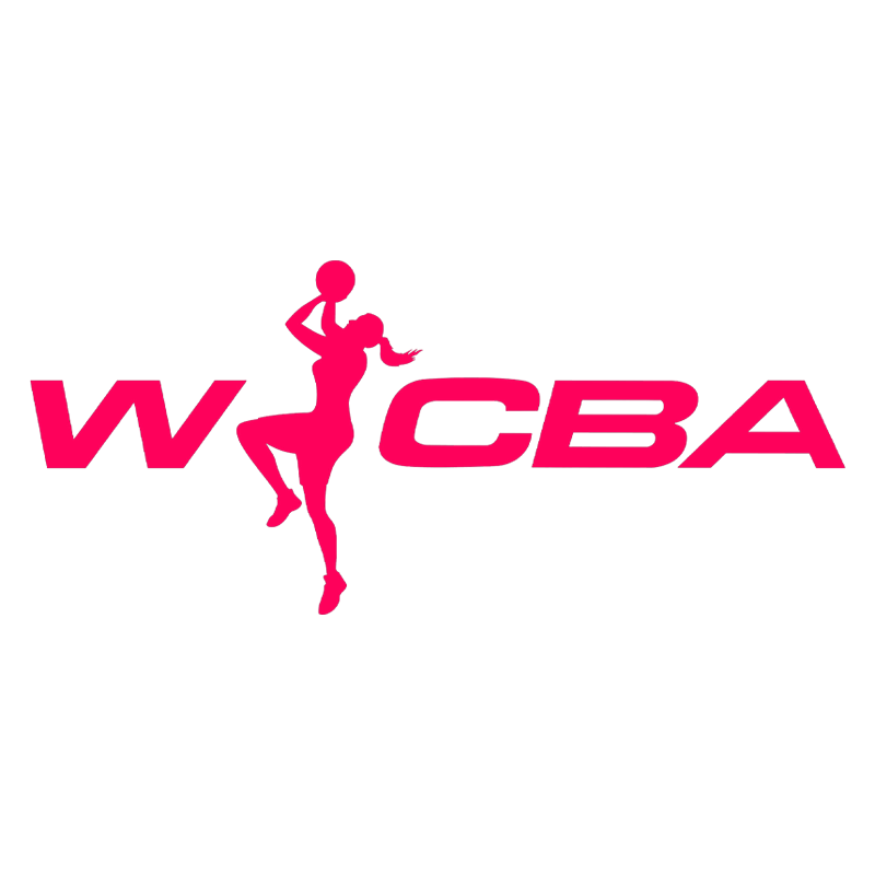 WCBA 石家庄英励vs山西竹叶青酒20250208