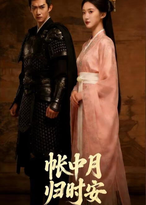 帐中月，归时安