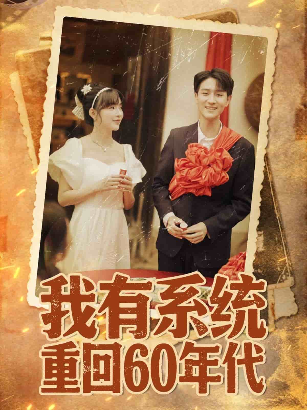 重回六零我靠系统娶媳妇